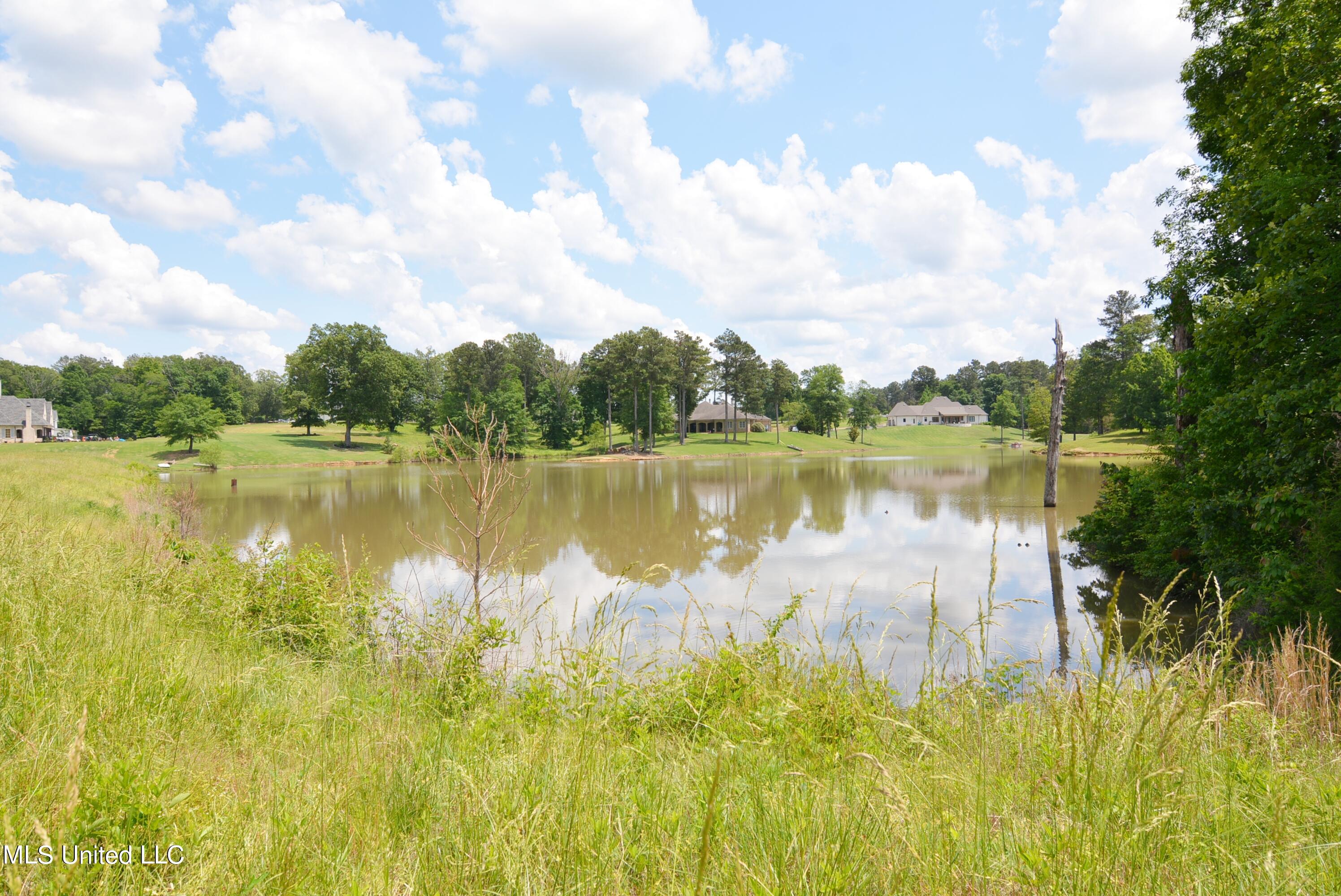 2603 Plank Road, Hernando, Mississippi image 3