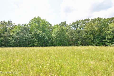 Vacant Land For Sale - 2603 Plank Road<br/> Hernando, MS 38632