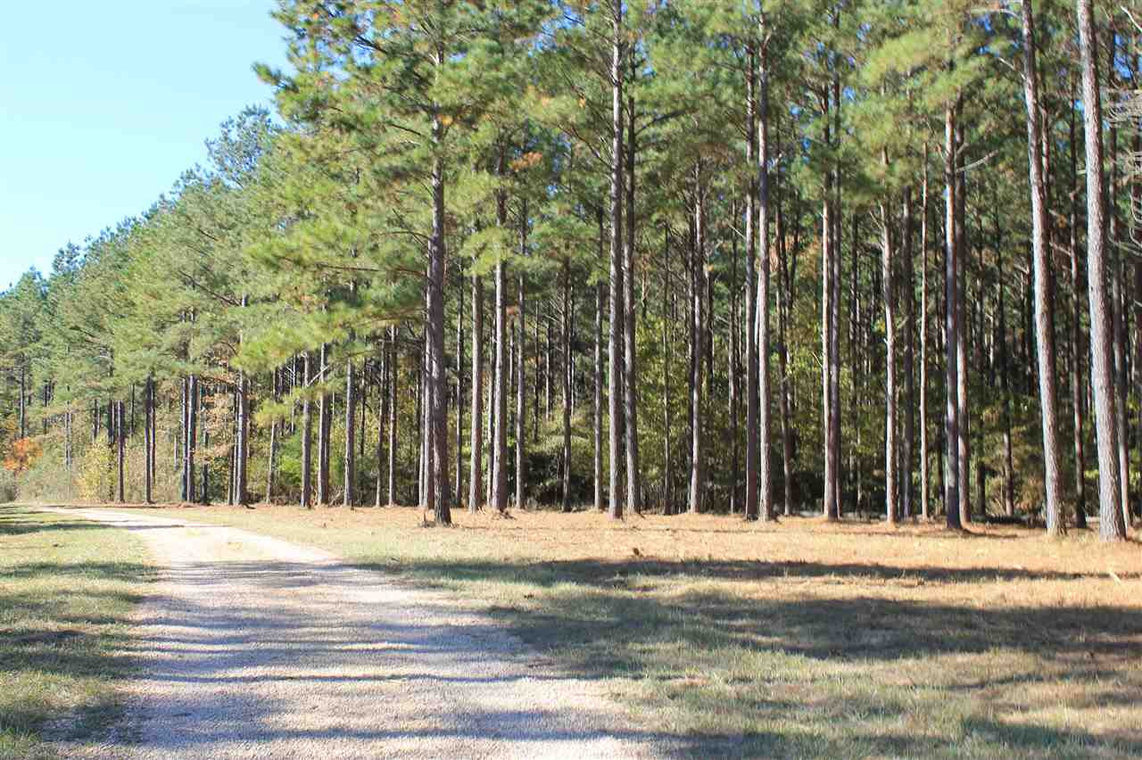 0000 W I - 55 Frontage Road, Terry, Mississippi image 1