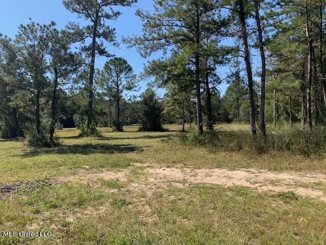 18200 Lazy Oaks Trail Trail, Kiln, Mississippi image 9