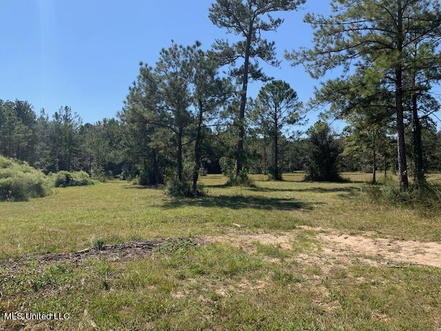 18200 Lazy Oaks Trail Trail, Kiln, Mississippi image 8