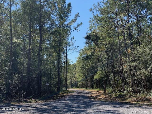 18200 Lazy Oaks Trail Trail, Kiln, Mississippi image 3