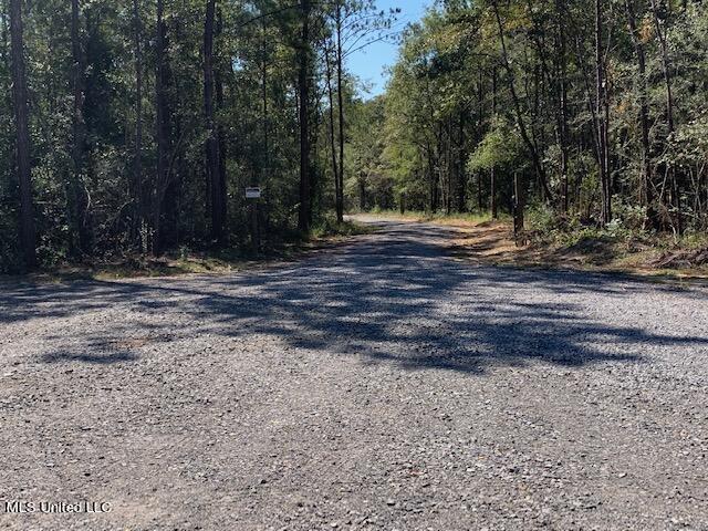 18200 Lazy Oaks Trail Trail, Kiln, Mississippi image 4