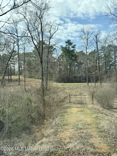 Vacant Land For Sale - 5665 Mcingvale Road<br/> Hernando, MS 38632