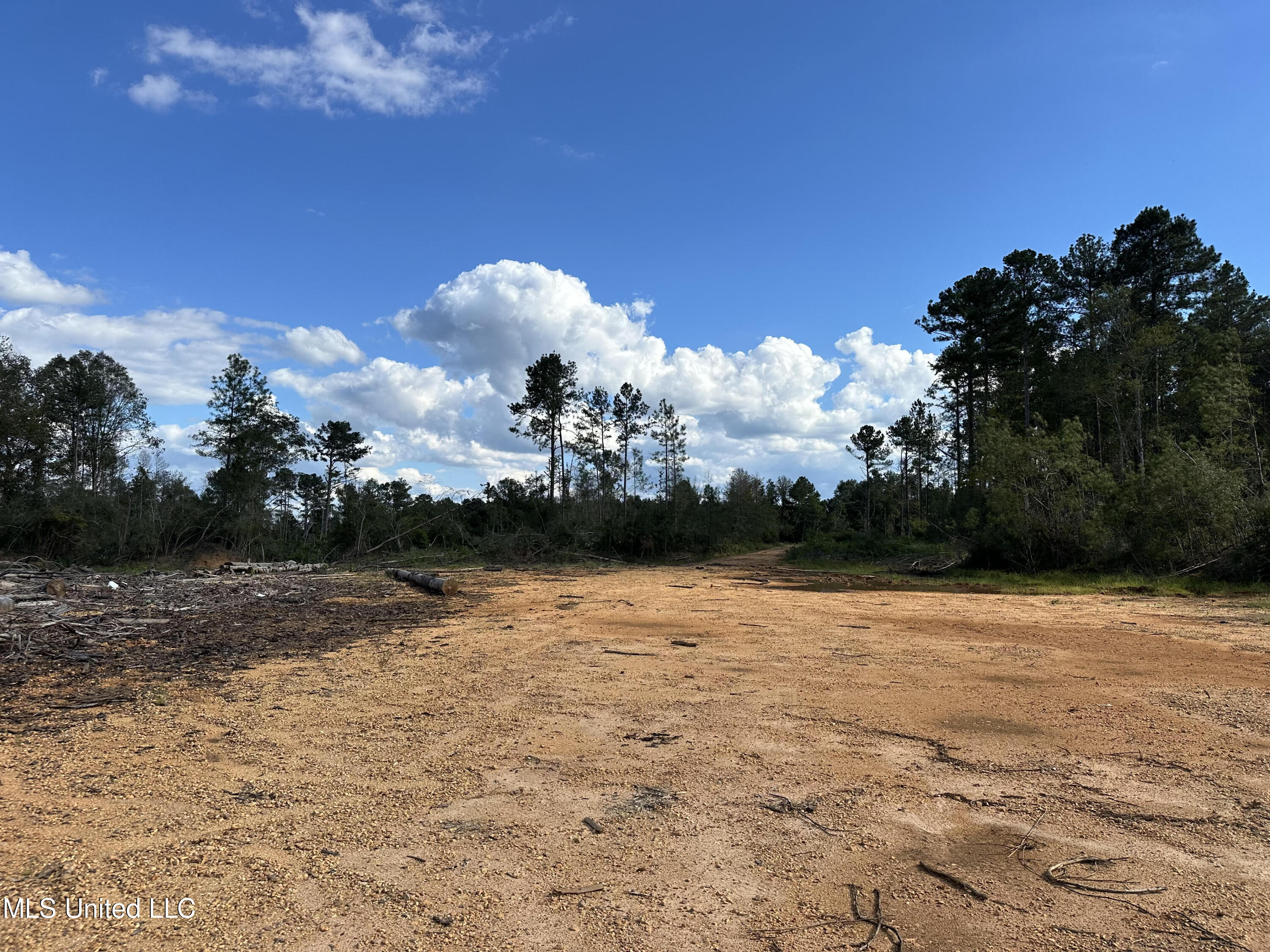 32 Acres +/- Garner Road, Mount Olive, Mississippi image 4