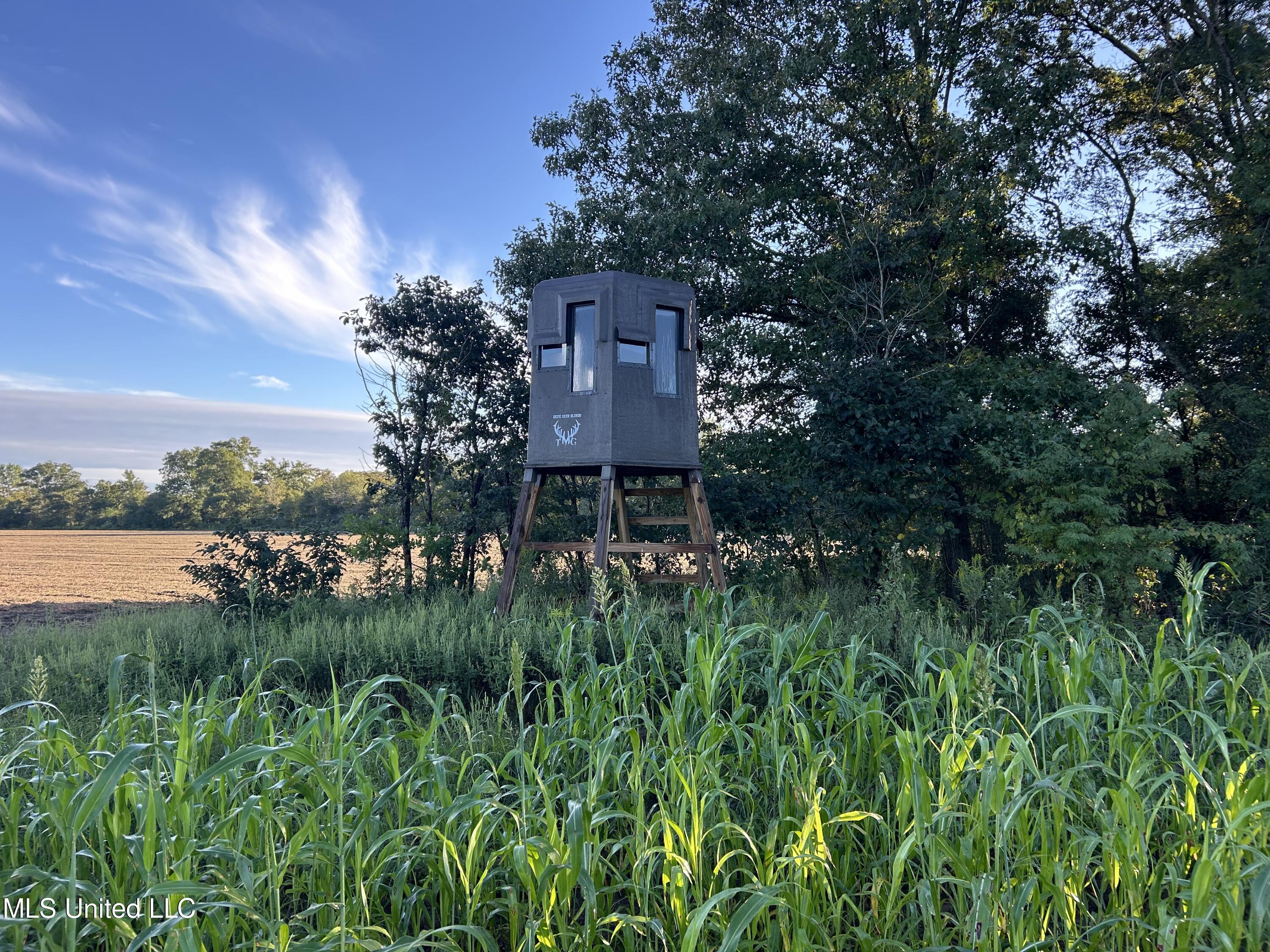 Off Of Trotter Road, Yazoo City, Mississippi image 19