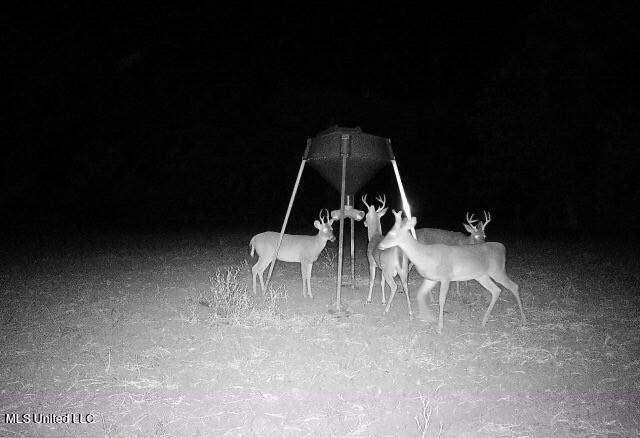 Off Of Trotter Road, Yazoo City, Mississippi image 34