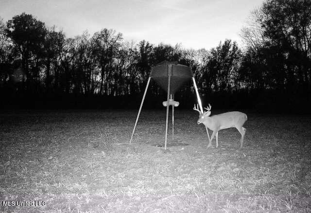 Off Of Trotter Road, Yazoo City, Mississippi image 33