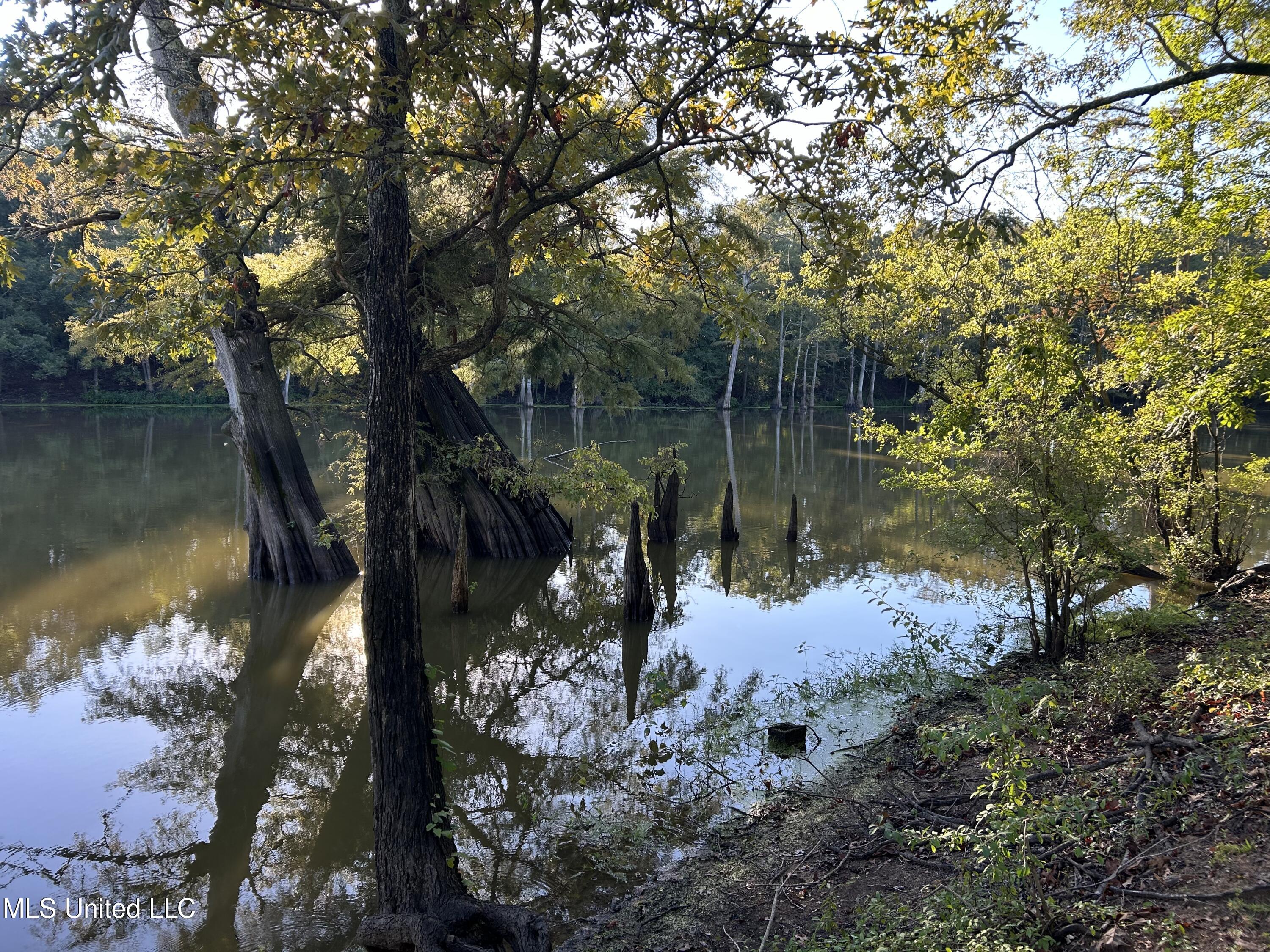 Off Of Trotter Road, Yazoo City, Mississippi image 23