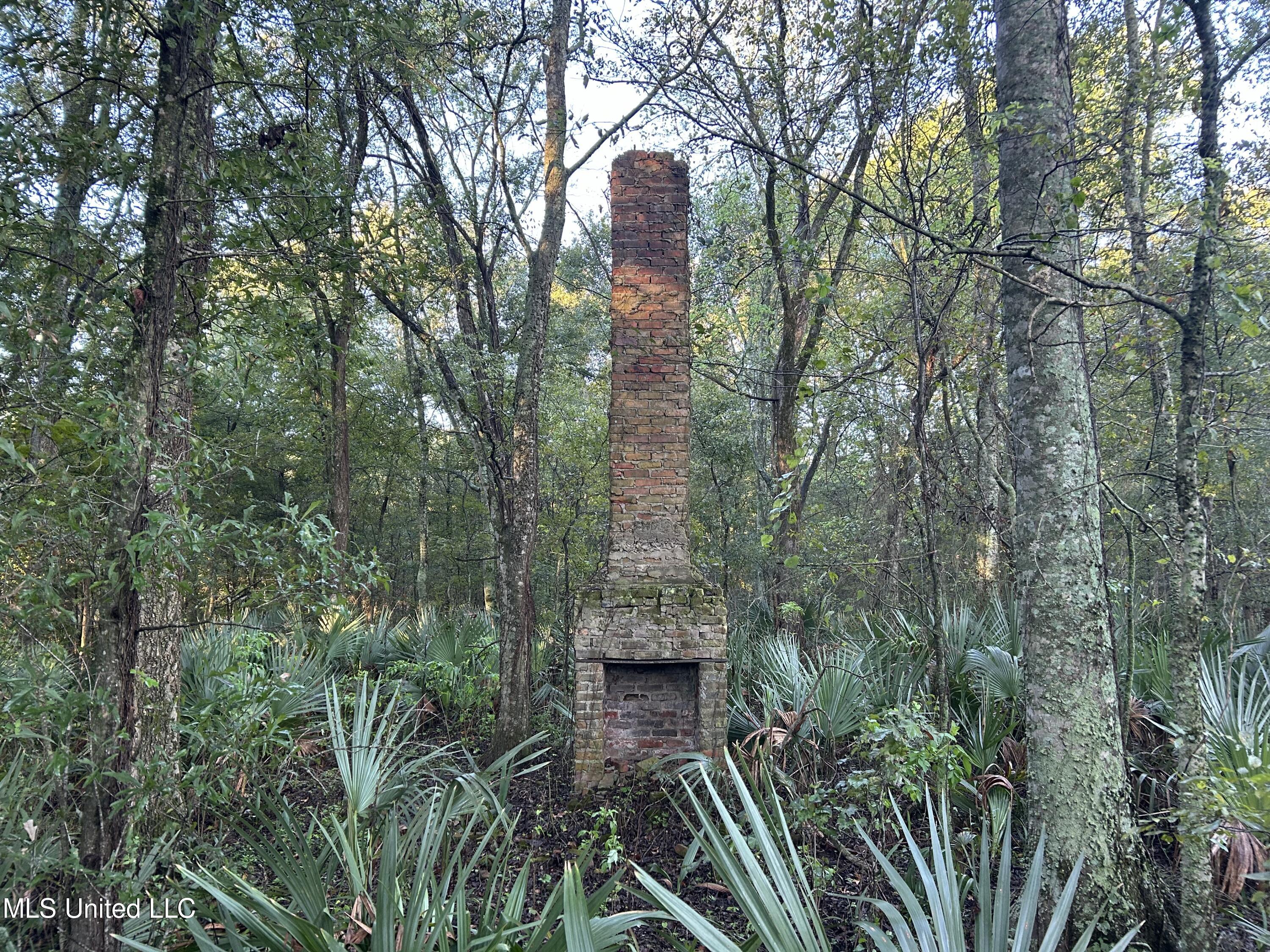 Off Of Trotter Road, Yazoo City, Mississippi image 5