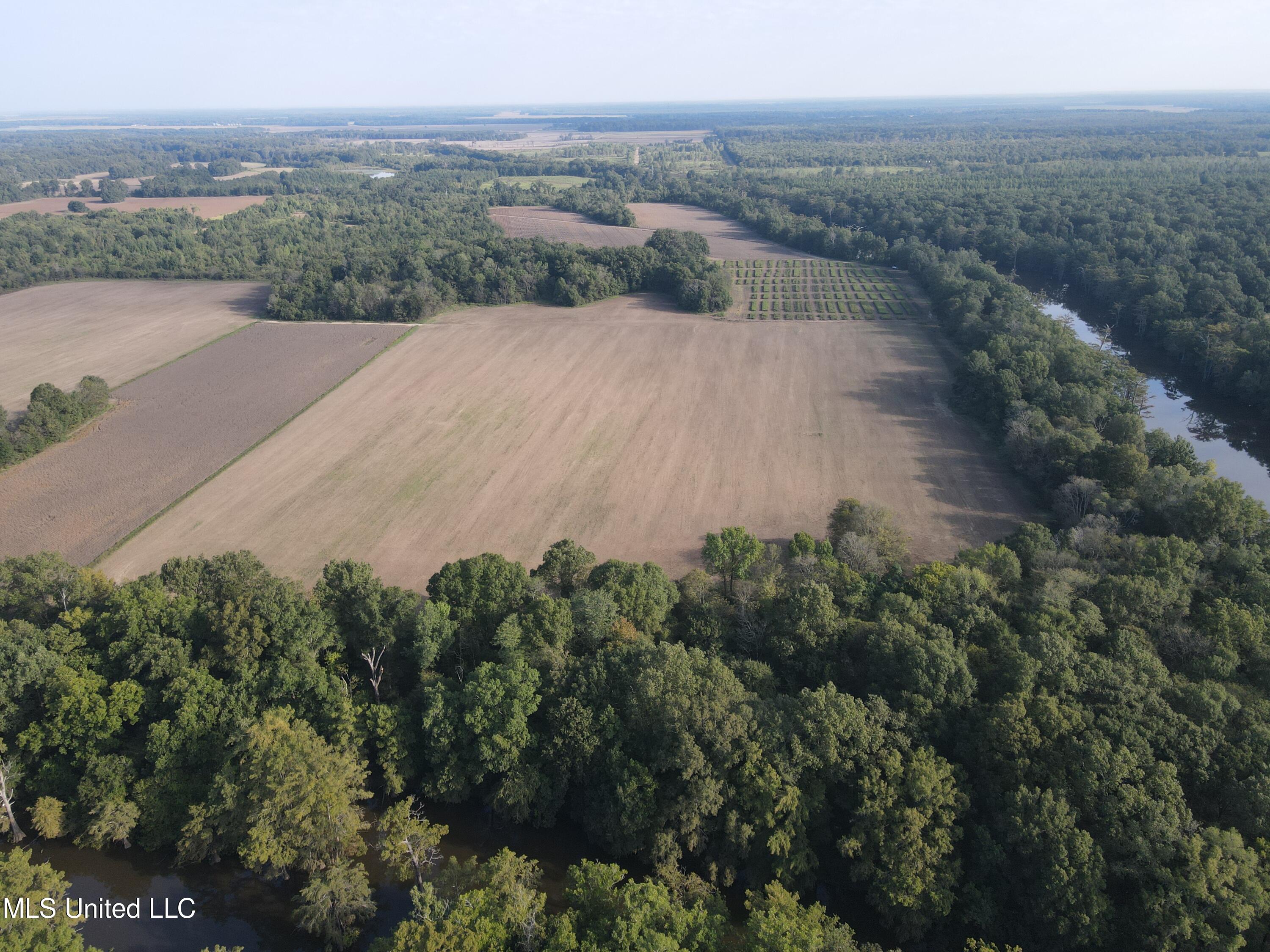 Off Of Trotter Road, Yazoo City, Mississippi image 3