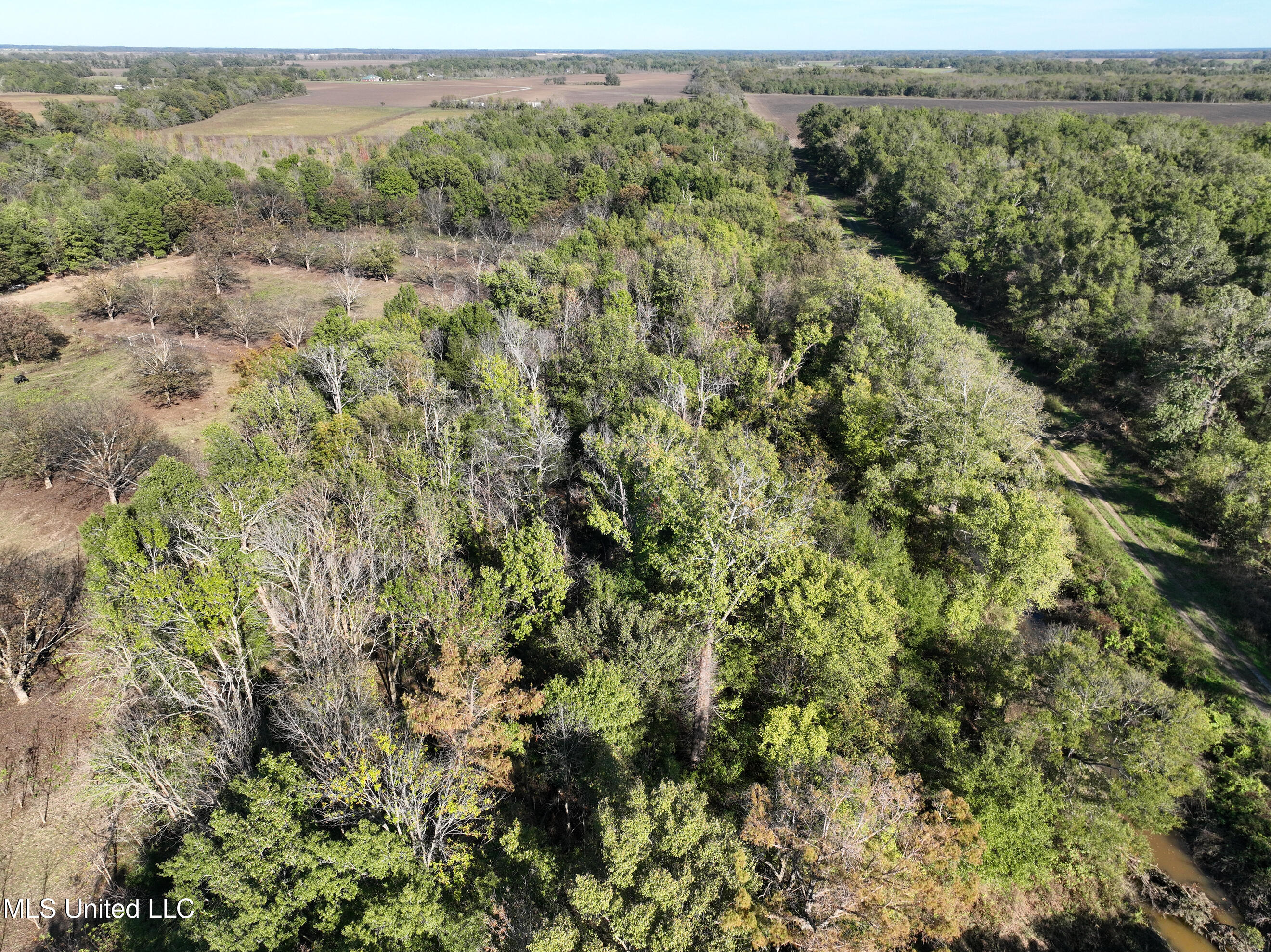 1 Garrett Road, Clarksdale, Mississippi image 5