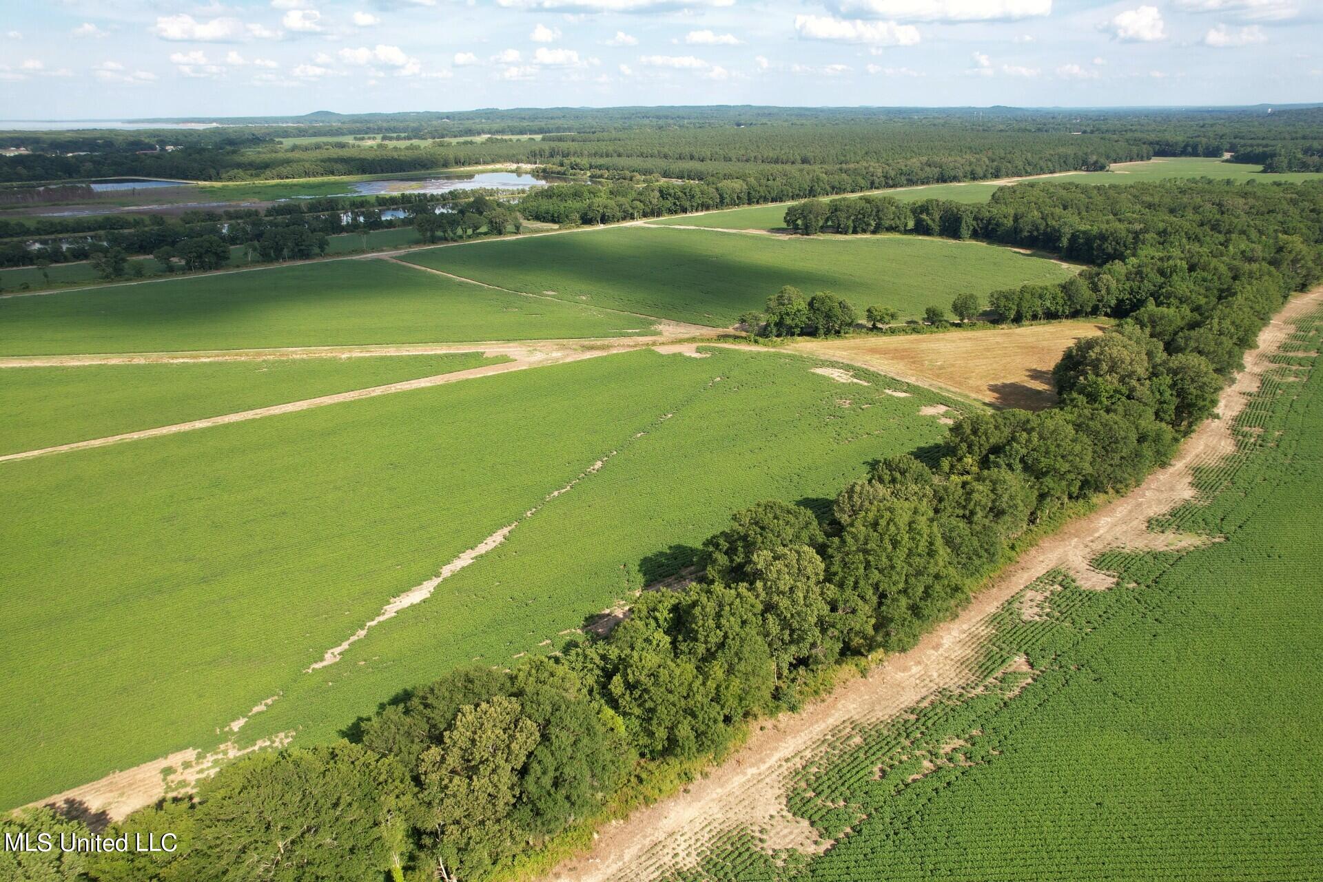 Highway 51 & Papermill Road, Grenada, Mississippi image 2