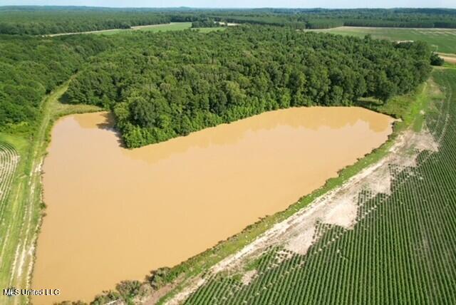 Highway 51 & Papermill Road, Grenada, Mississippi image 4