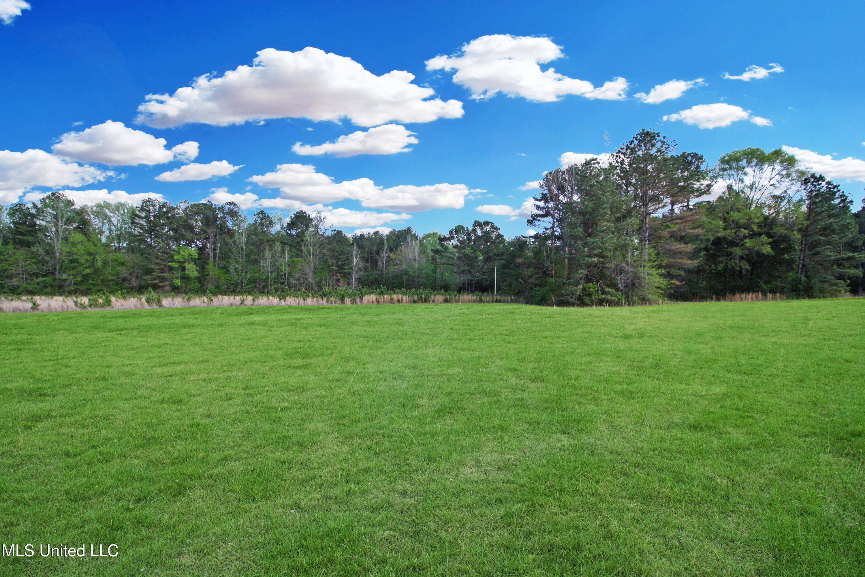 162 Summerlin Road, Canton, Mississippi image 10