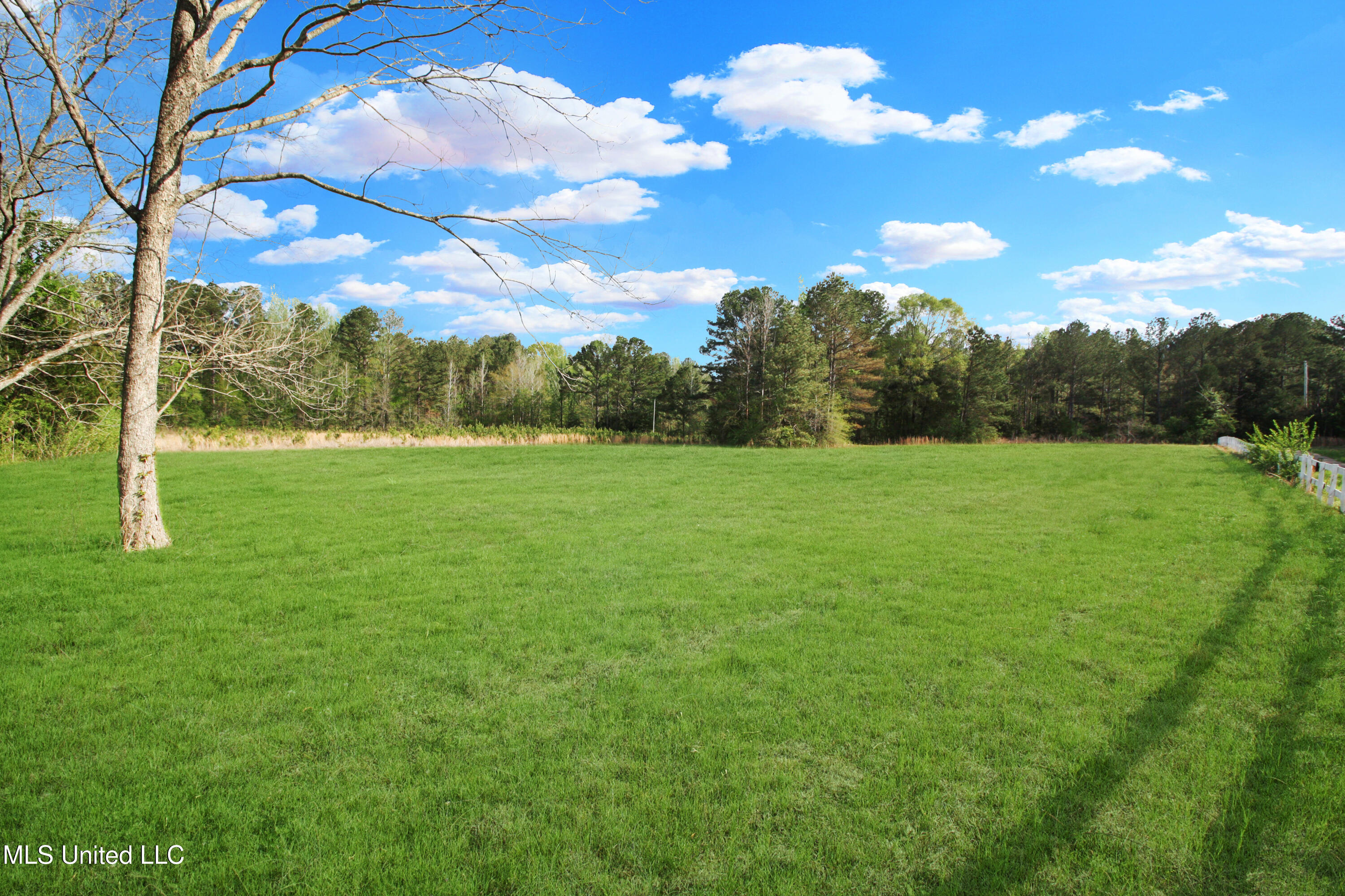162 Summerlin Road, Canton, Mississippi image 8