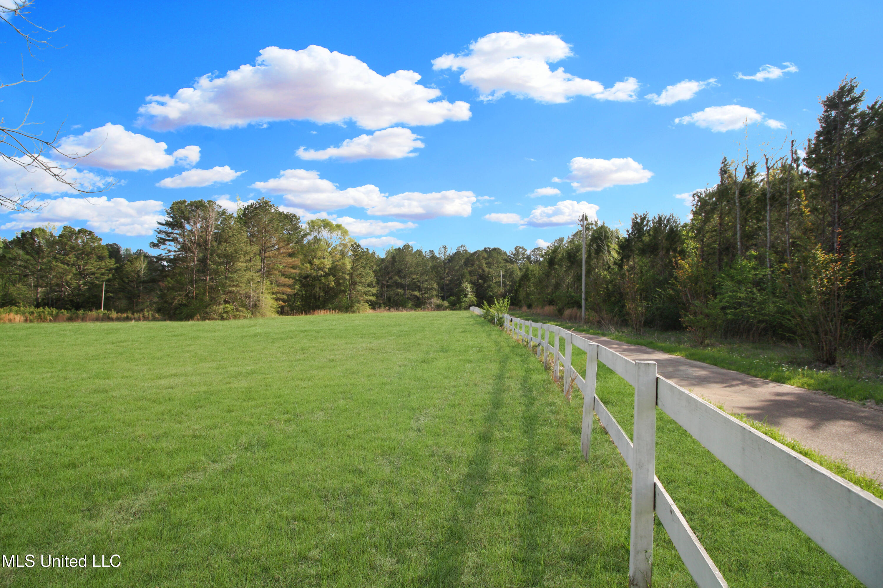 162 Summerlin Road, Canton, Mississippi image 12