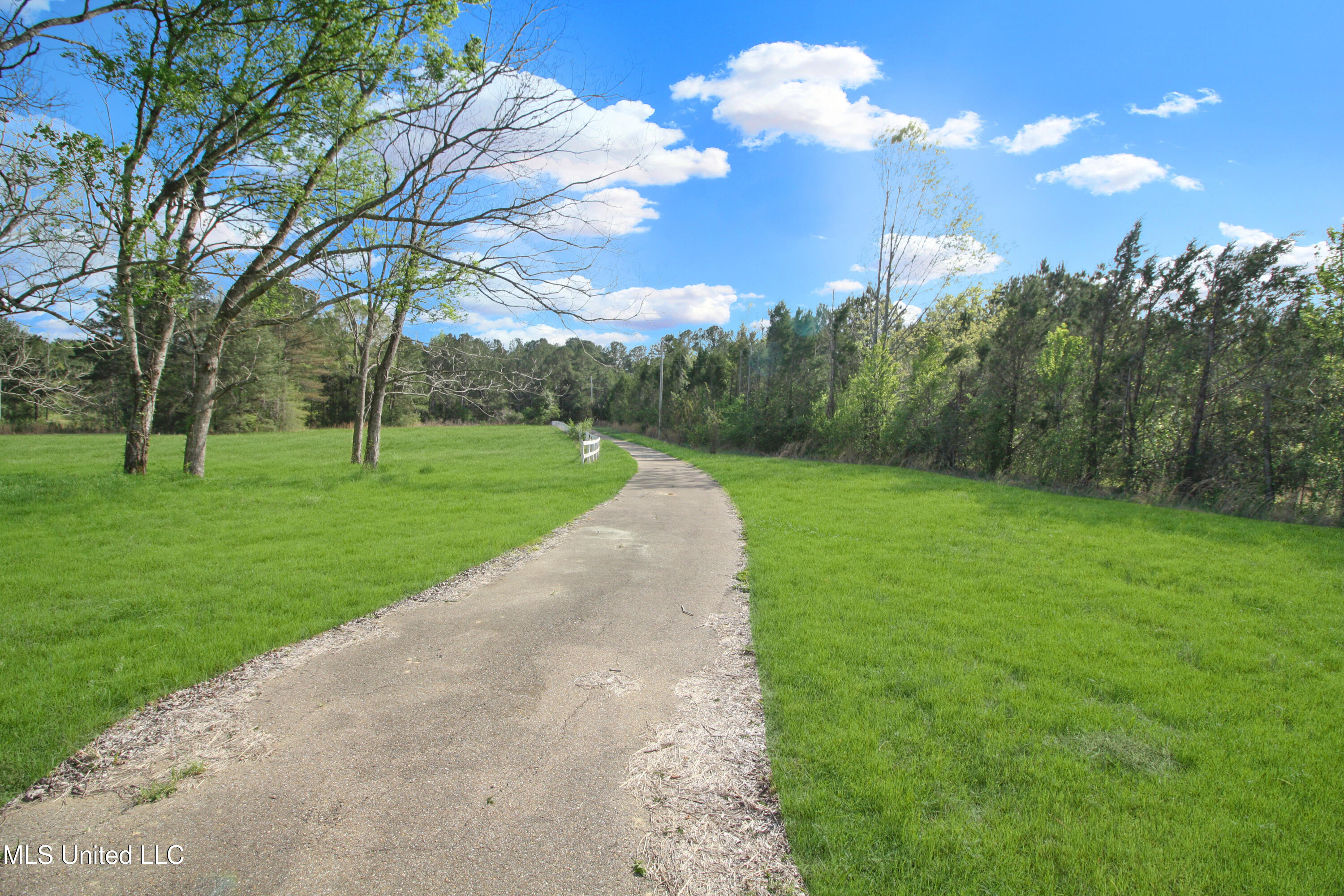 162 Summerlin Road, Canton, Mississippi image 4