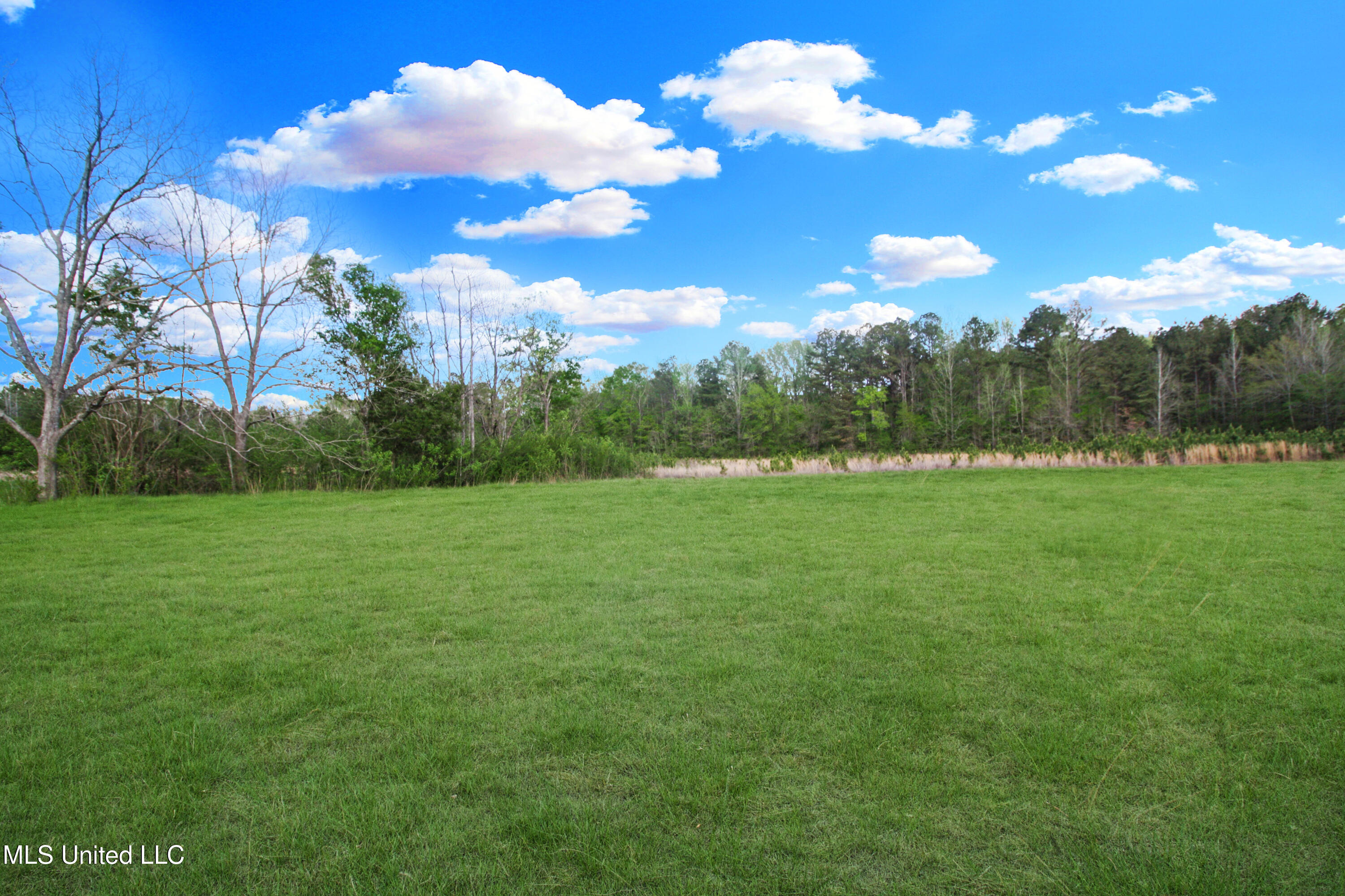 162 Summerlin Road, Canton, Mississippi image 3