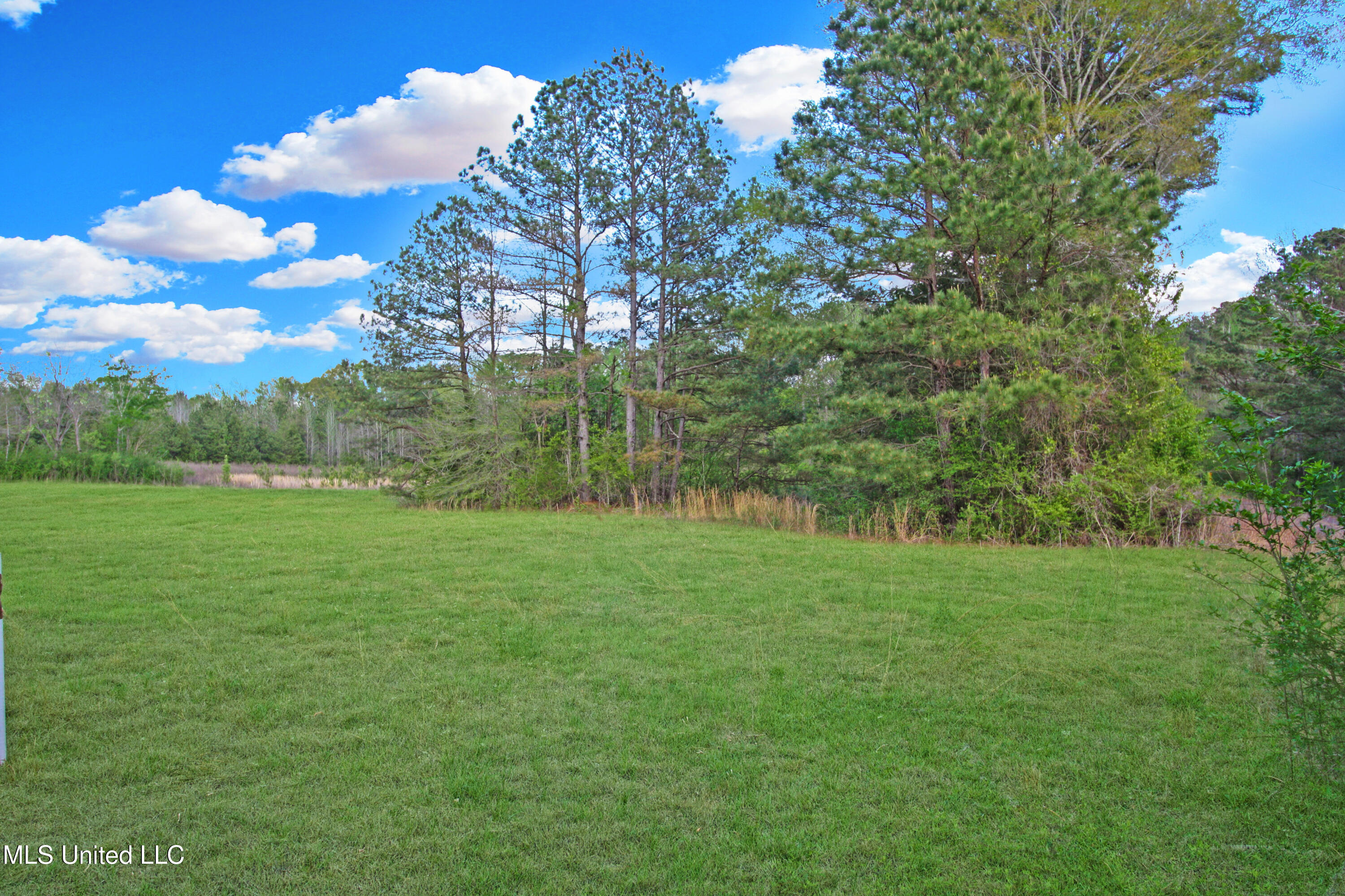 162 Summerlin Road, Canton, Mississippi image 11