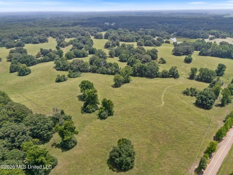 Vacant Land For Sale - 1150 Veazey Road<br/> Tate County, Coldwater, MS 38618