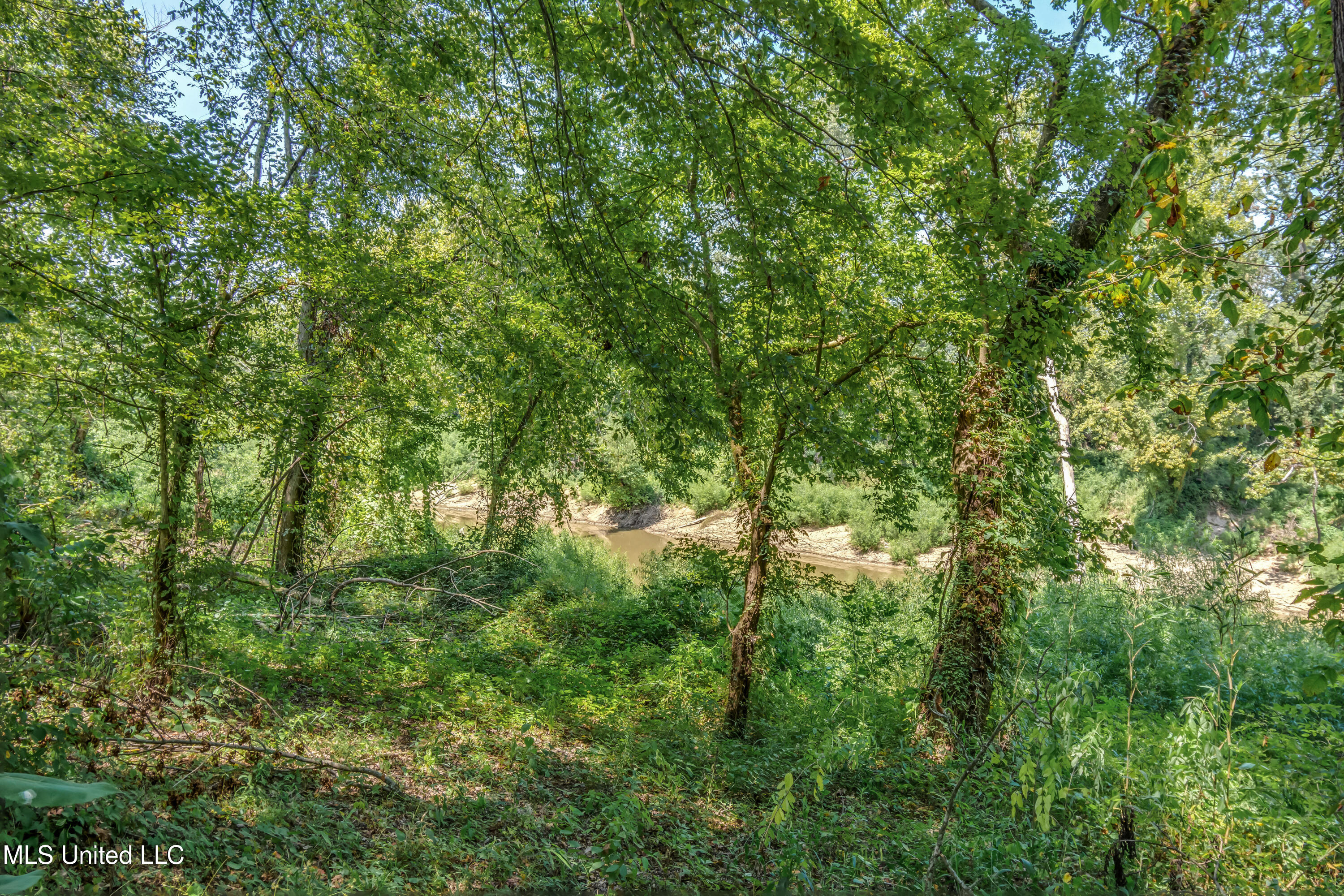 20500 Old Hwy 80 E #LOT 19, Edwards, Mississippi image 38
