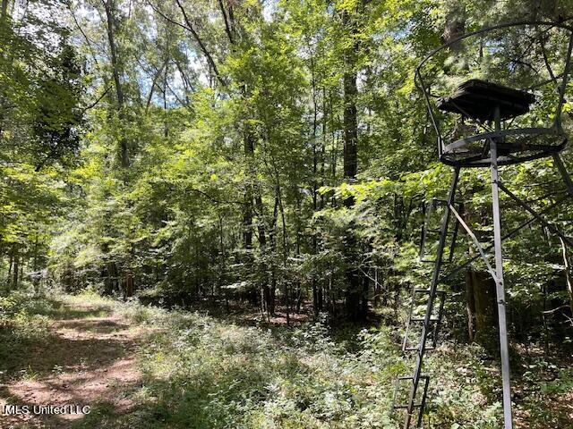 Pettey Road, Forest, Mississippi image 8