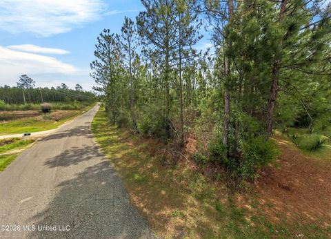 Vacant Land For Sale - 23137 Wright Road<br/> Saucier, MS 39574