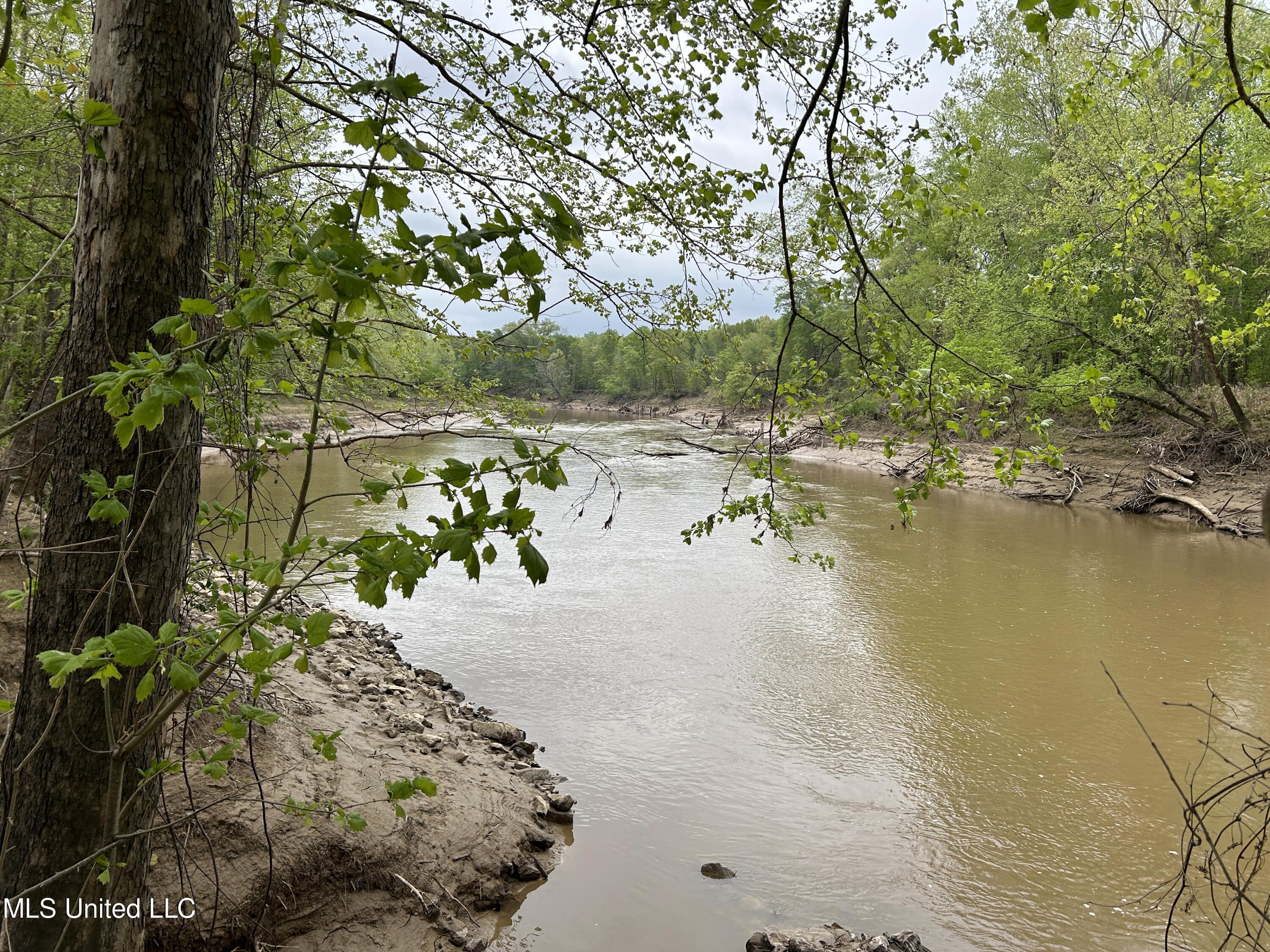 County Road 150, Greenwood, Mississippi image 13