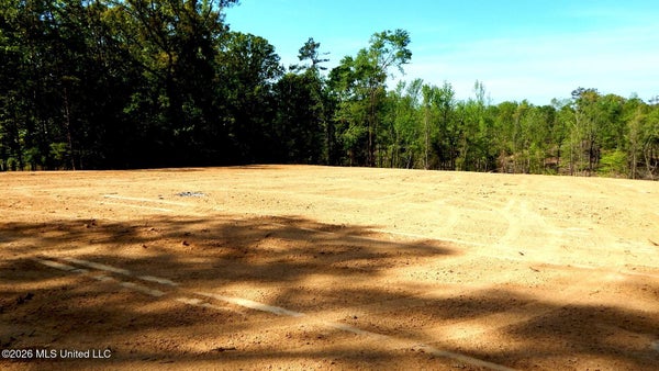40 NELIA RD, GRENADA, MS 38901 - Image 9832651472d5dfe48e25f14a4f2decd2/952983748