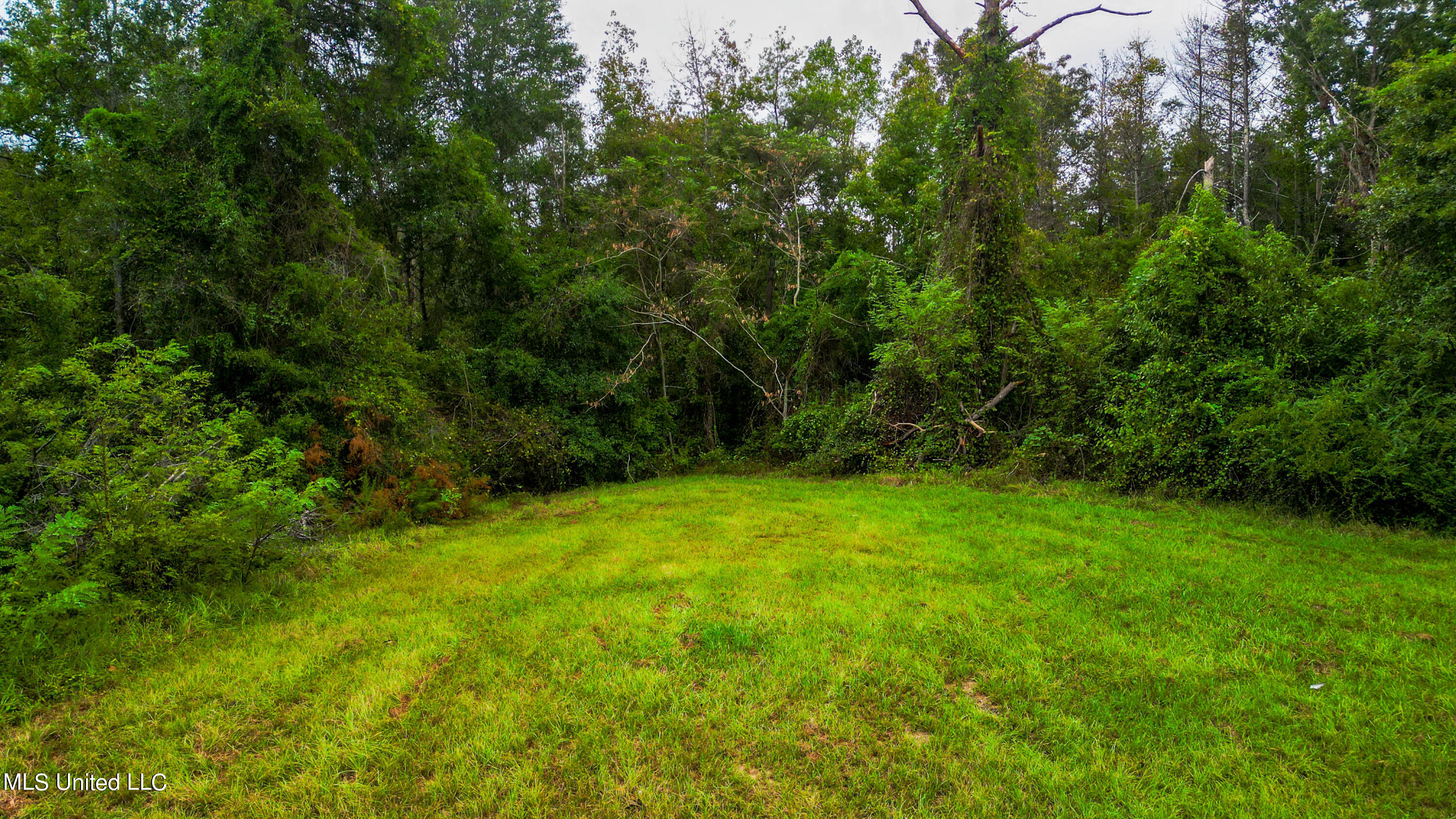 5971 430 Country Road, Quitman, Mississippi image 8