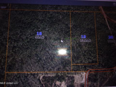 Vacant Land For Sale - Moffett Road<br/> Forrest County, Wiggins, MS 39577