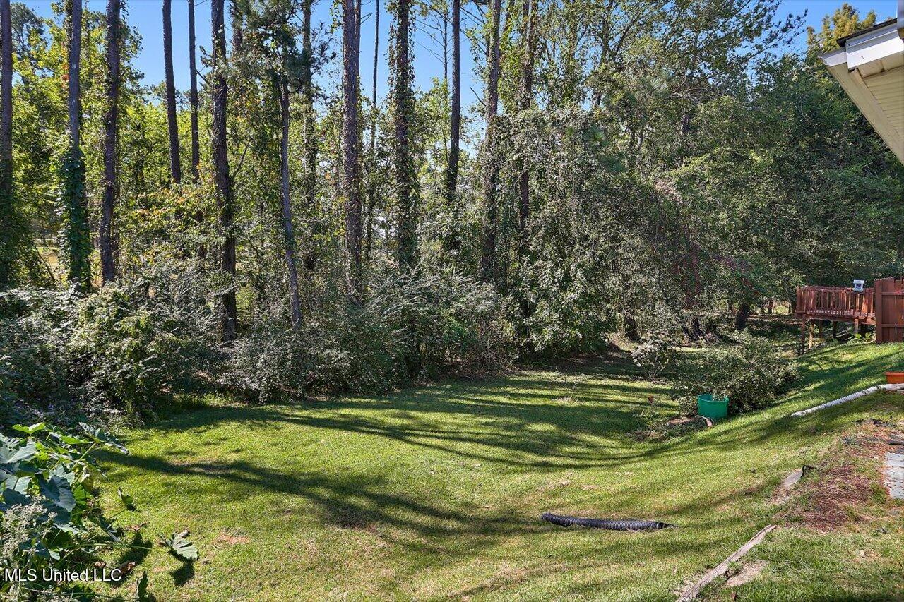 121 Kings Ridge Drive, Brandon, Mississippi image 20