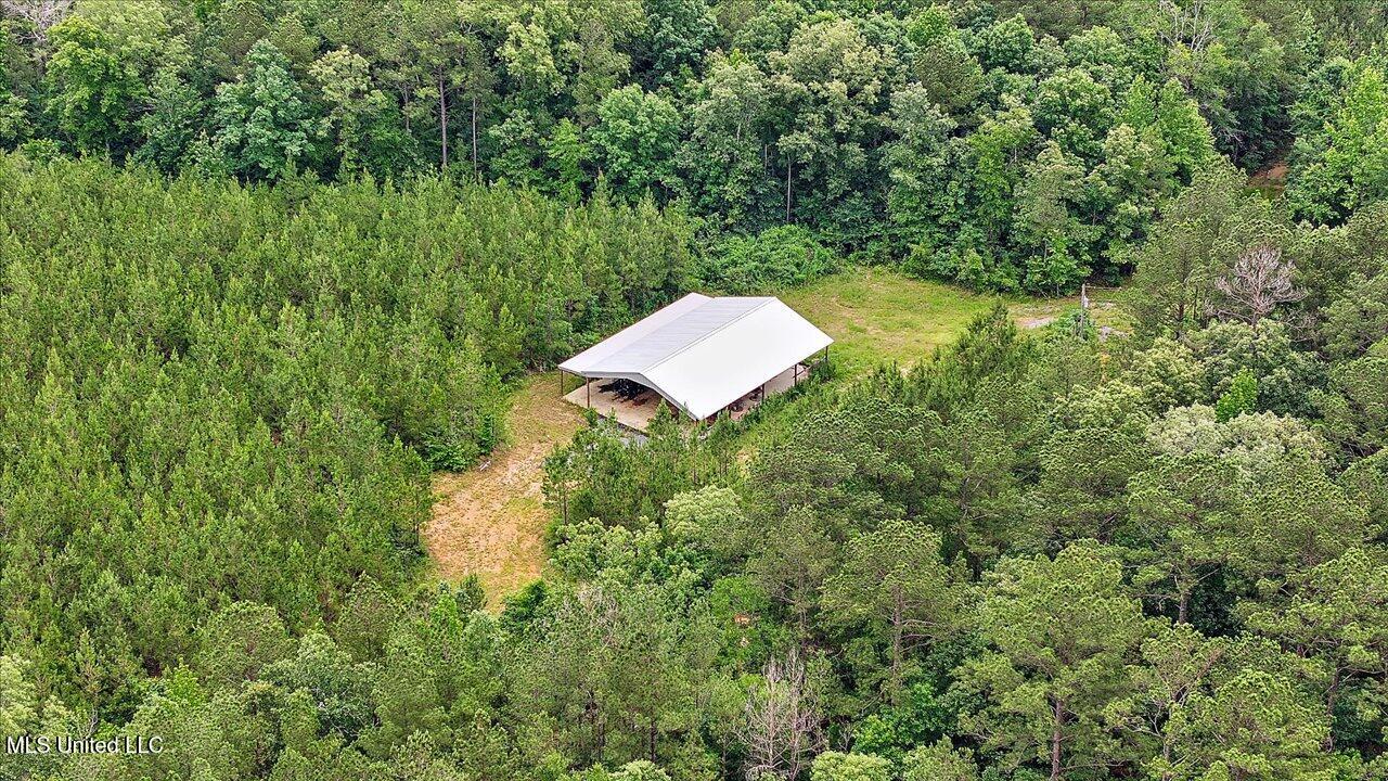 772 Mount Helm Road, Brandon, Mississippi image 26