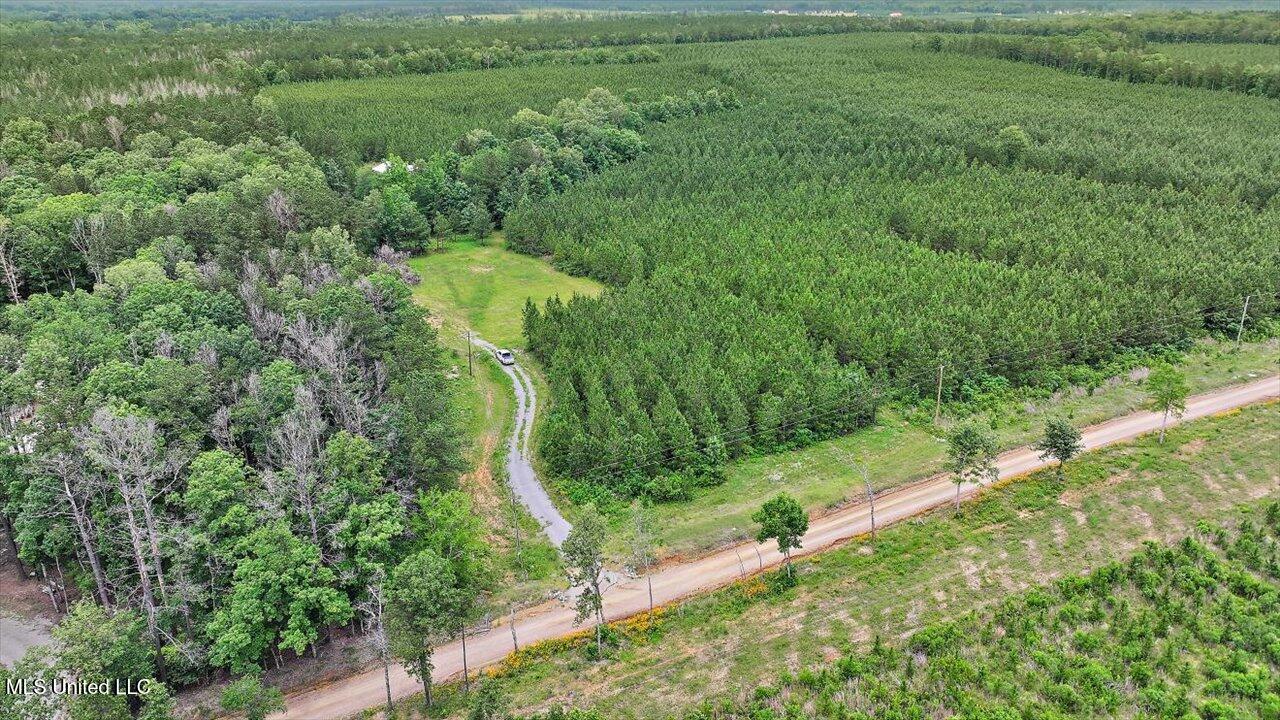 772 Mount Helm Road, Brandon, Mississippi image 49