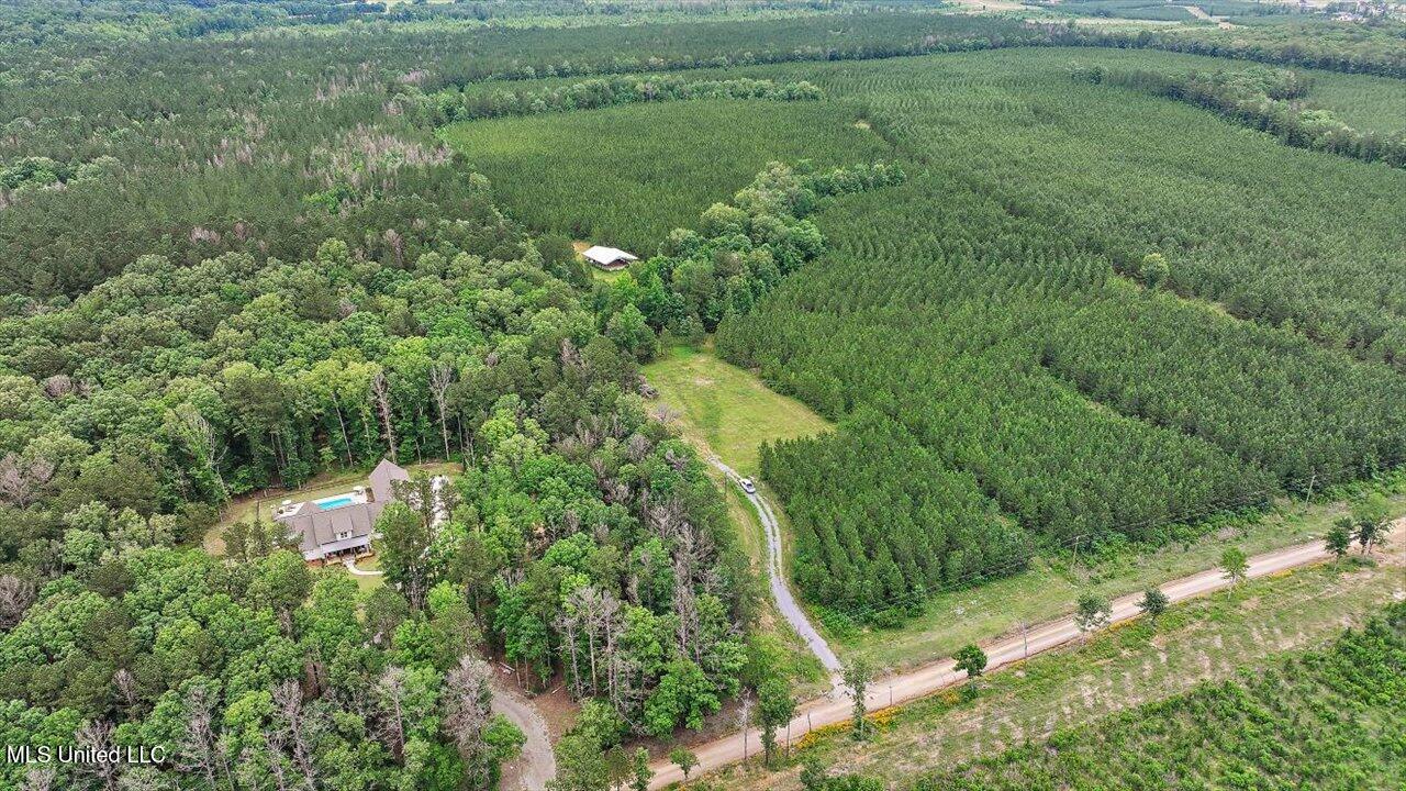 772 Mount Helm Road, Brandon, Mississippi image 2