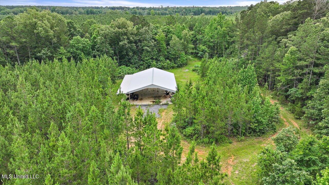 772 Mount Helm Road, Brandon, Mississippi image 30