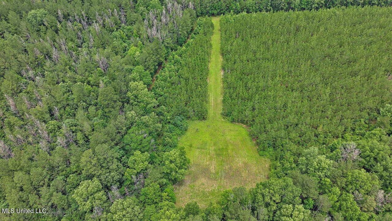 772 Mount Helm Road, Brandon, Mississippi image 14