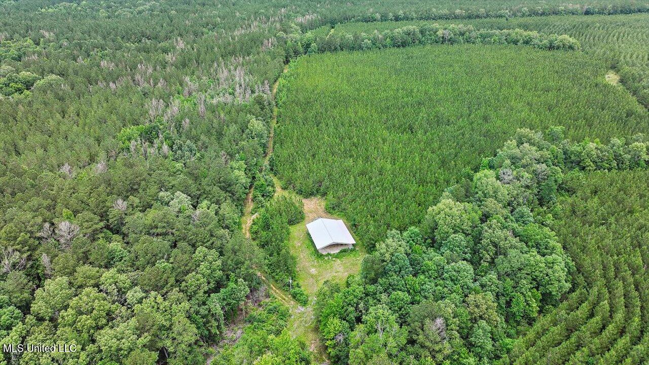 772 Mount Helm Road, Brandon, Mississippi image 42