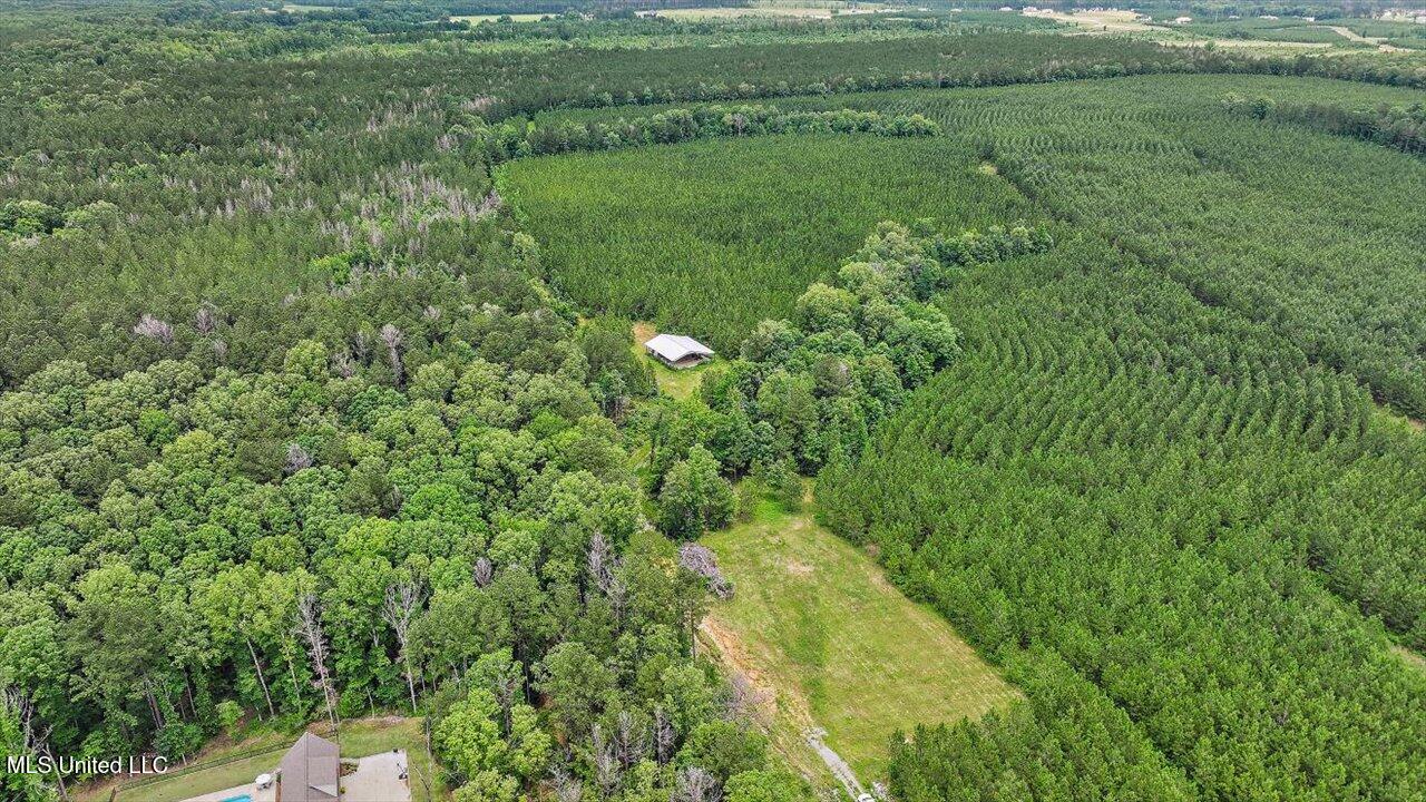 772 Mount Helm Road, Brandon, Mississippi image 44