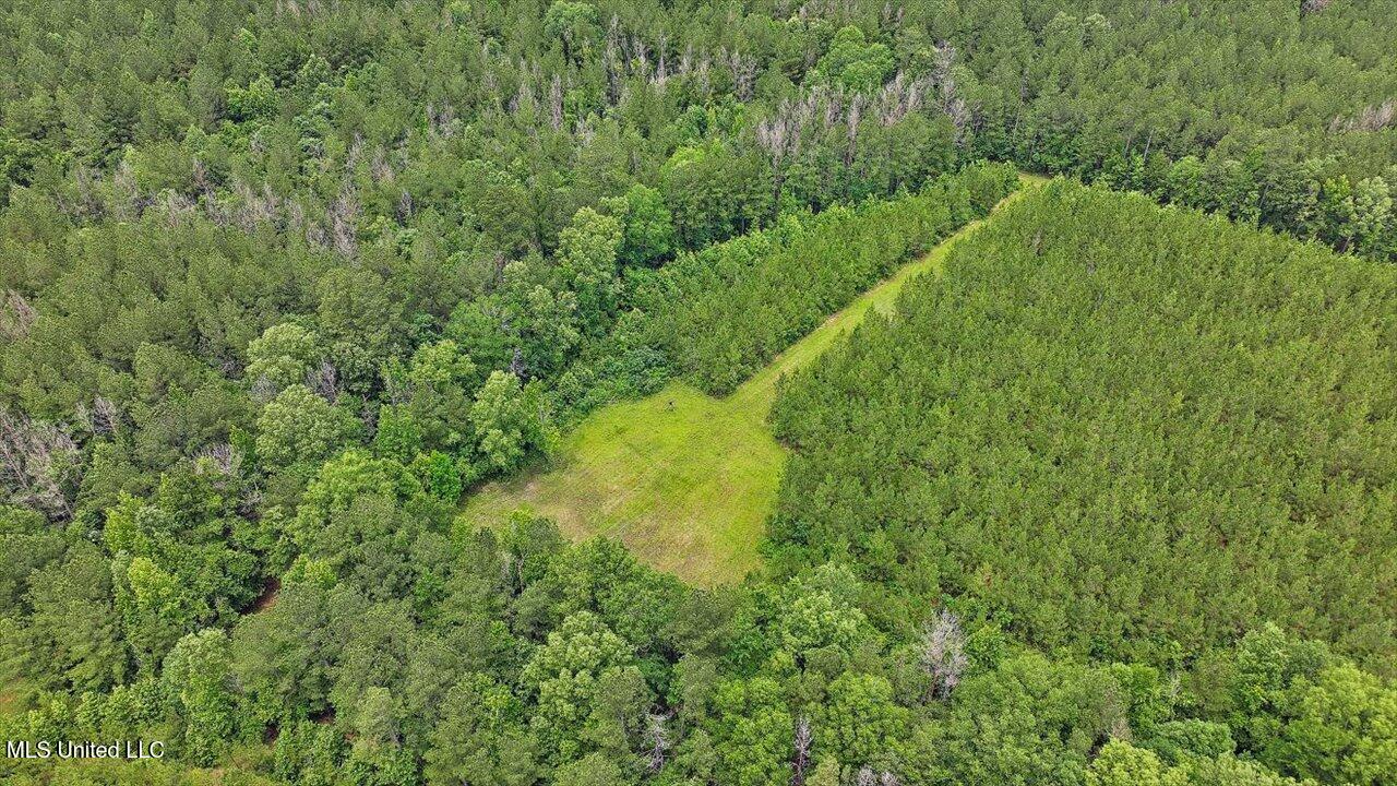 772 Mount Helm Road, Brandon, Mississippi image 15