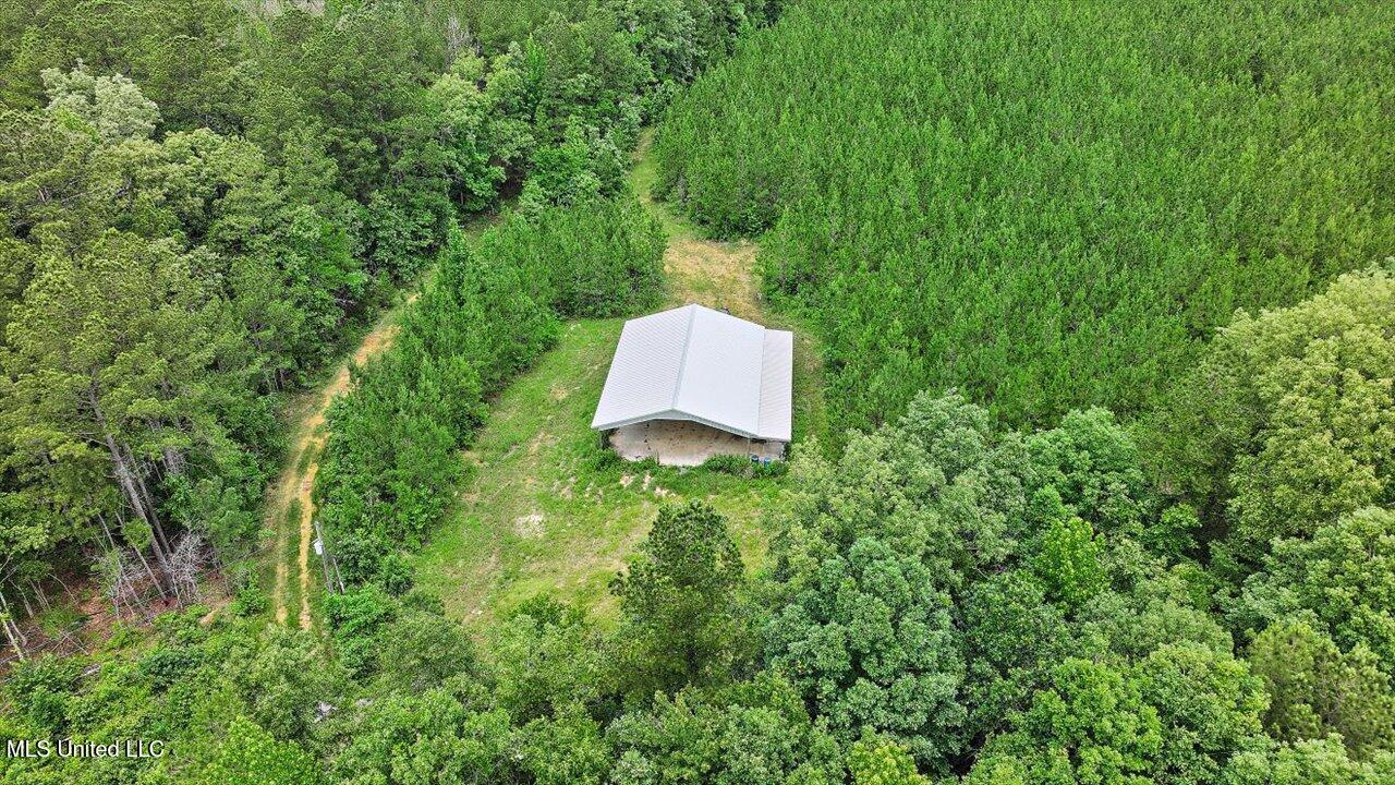 772 Mount Helm Road, Brandon, Mississippi image 38