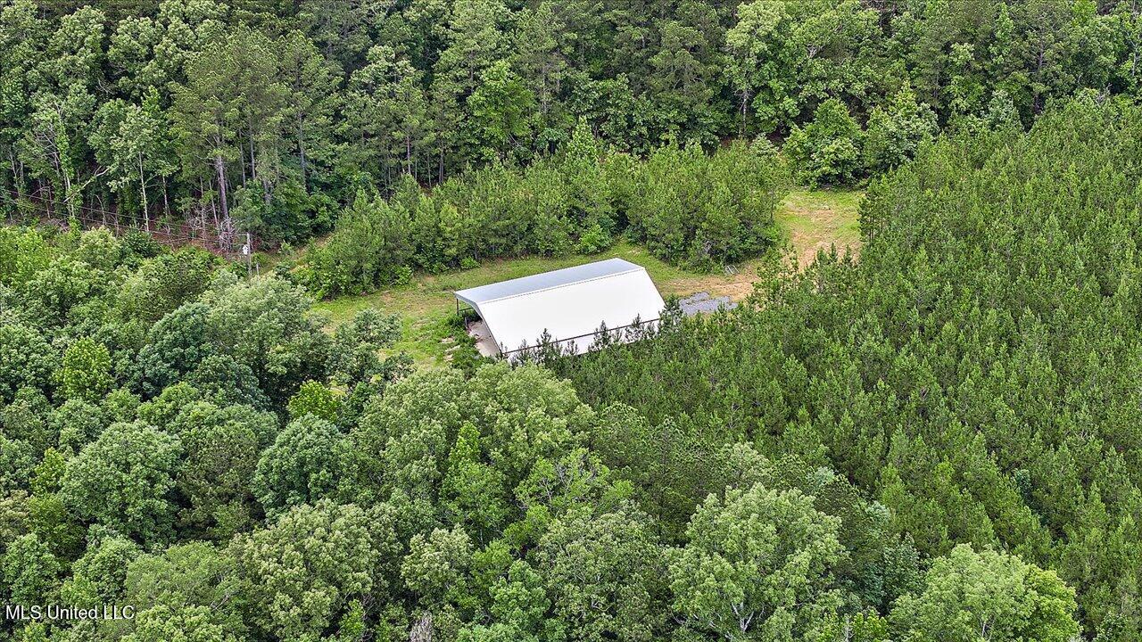 772 Mount Helm Road, Brandon, Mississippi image 8