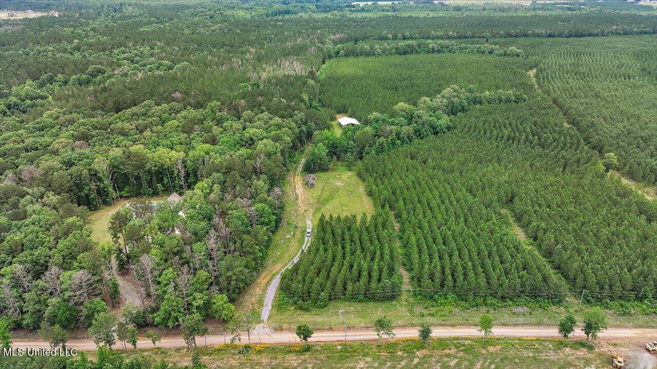 772 Mount Helm Road, Brandon, Mississippi image 1