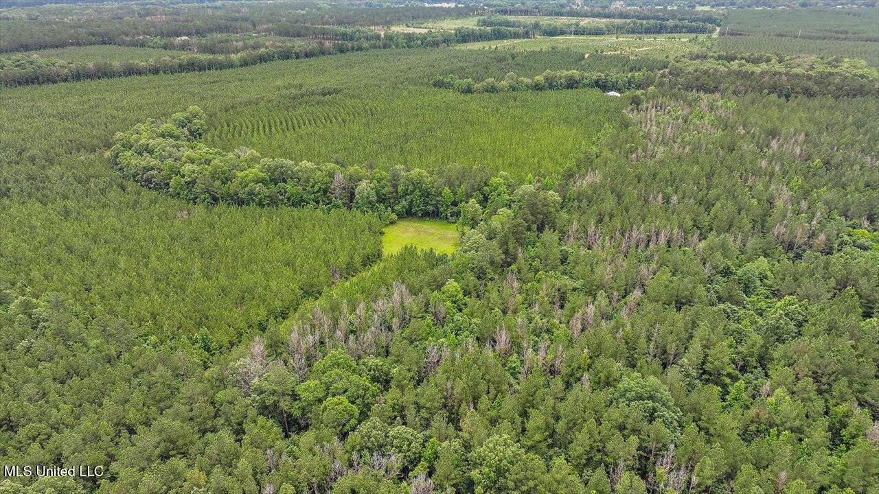 772 Mount Helm Road, Brandon, Mississippi image 21