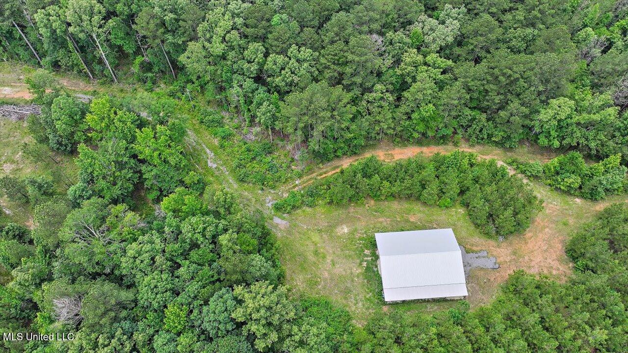 772 Mount Helm Road, Brandon, Mississippi image 40
