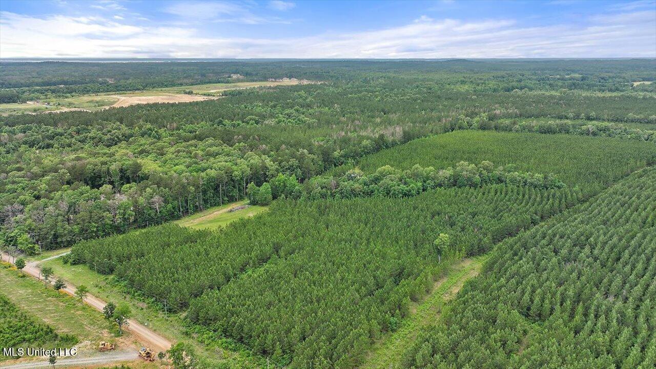 772 Mount Helm Road, Brandon, Mississippi image 4