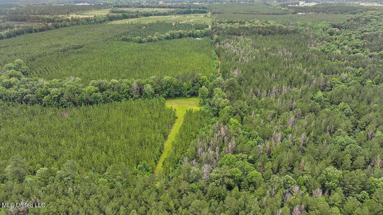 772 Mount Helm Road, Brandon, Mississippi image 20
