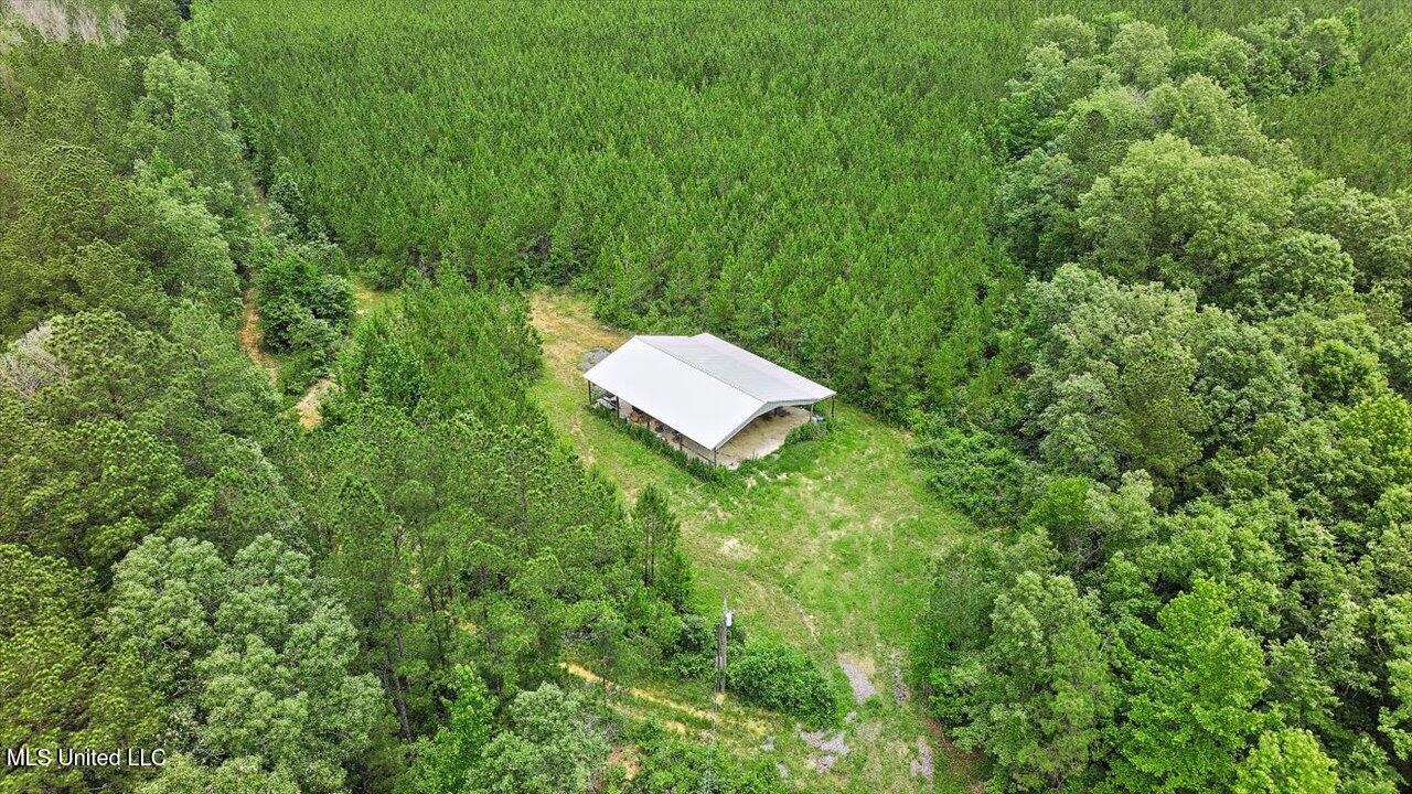 772 Mount Helm Road, Brandon, Mississippi image 37