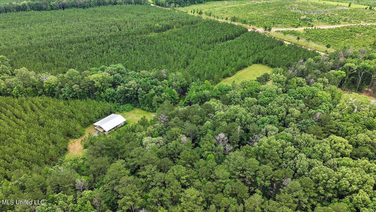 772 Mount Helm Road, Brandon, Mississippi image 28